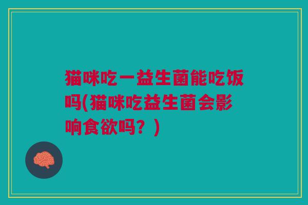 猫咪吃一益生菌能吃饭吗(猫咪吃益生菌会影响食欲吗?)