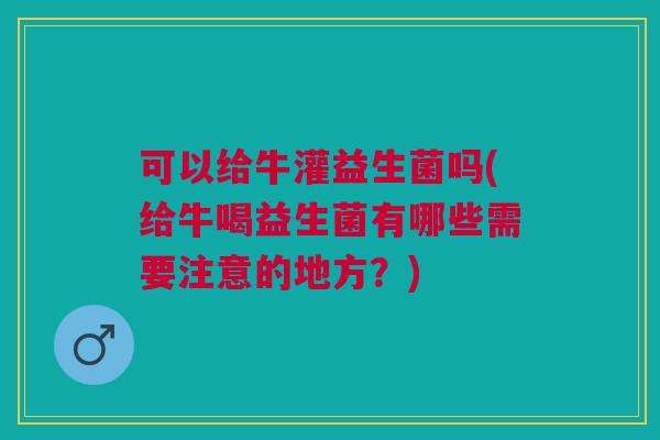 可以给牛灌益生菌吗(给牛喝益生菌有哪些需要注意的地方?)