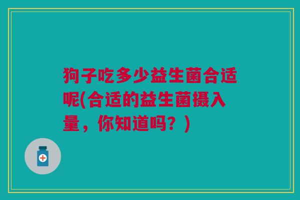 狗子吃多少益生菌合适呢(合适的益生菌摄入量,你知道吗?)