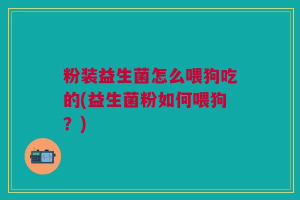粉装益生菌怎么喂狗吃的(益生菌粉如何喂狗?)
