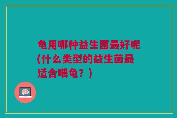 龟用哪种益生菌最好呢(什么类型的益生菌最适合喂龟?)