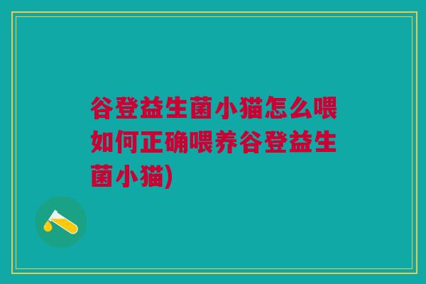 谷登益生菌小猫怎么喂如何正确喂养谷登益生菌小猫)