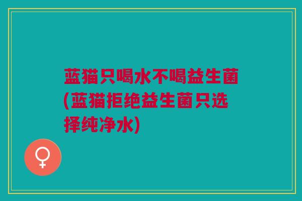 蓝猫只喝水不喝益生菌(蓝猫拒绝益生菌只选择纯净水)