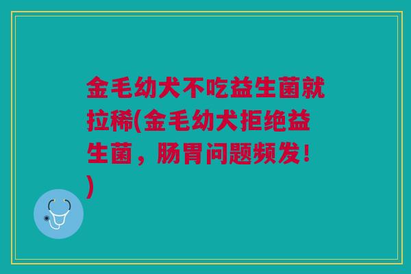 金毛幼犬不吃益生菌就拉稀(金毛幼犬拒绝益生菌,肠胃问题频发!) 金毛幼犬不吃益生菌就拉稀(金毛幼犬拒绝益生菌,肠胃问题频发!)