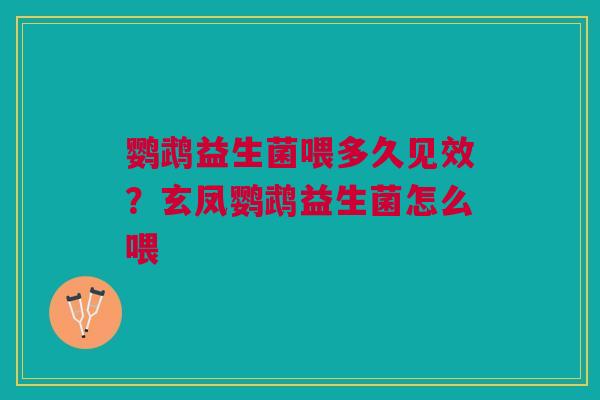 鹦鹉益生菌喂多久见效?玄凤鹦鹉益生菌怎么喂 鹦鹉益生菌喂多久见效?玄凤鹦鹉益生菌怎么喂