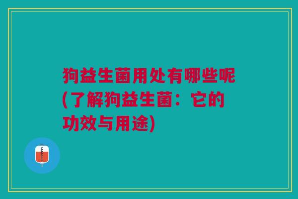 狗益生菌用处有哪些呢(了解狗益生菌:它的功效与用途)