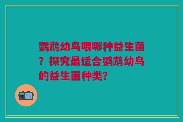 鹦鹉幼鸟喂哪种益生菌?探究最适合鹦鹉幼鸟的益生菌种类?
