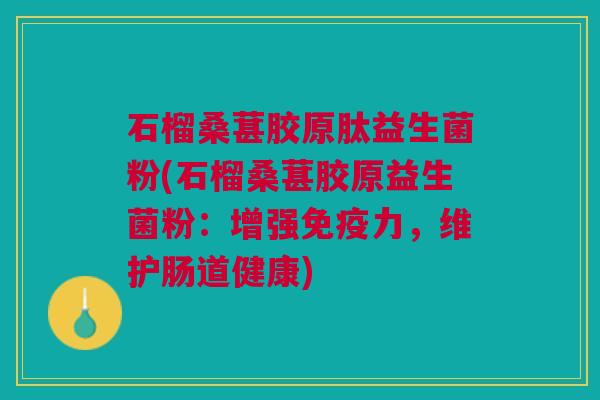 石榴桑葚胶原肽益生菌粉(石榴桑葚胶原益生菌粉:增强免疫力,维护肠道健康)