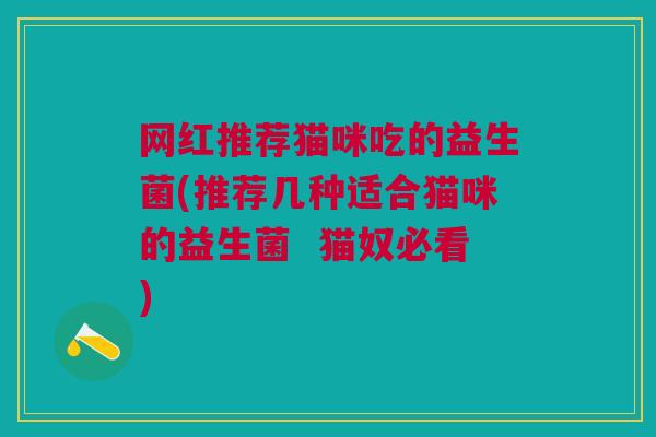 网红推荐猫咪吃的益生菌(推荐几种适合猫咪的益生菌 猫奴必看)