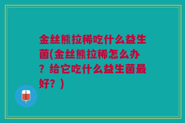 金丝熊拉稀吃什么益生菌(金丝熊拉稀怎么办?给它吃什么益生菌最好?)