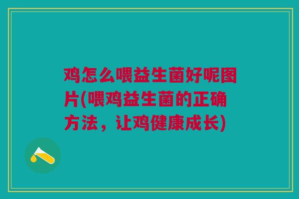 鸡怎么喂益生菌好呢图片(喂鸡益生菌的正确方法,让鸡健康成长)