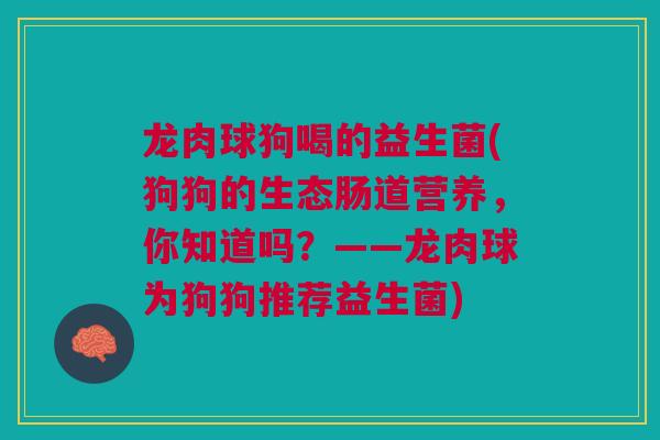 龙肉球狗喝的益生菌(狗狗的生态肠道营养,你知道吗?——龙肉球为狗狗推荐益生菌)