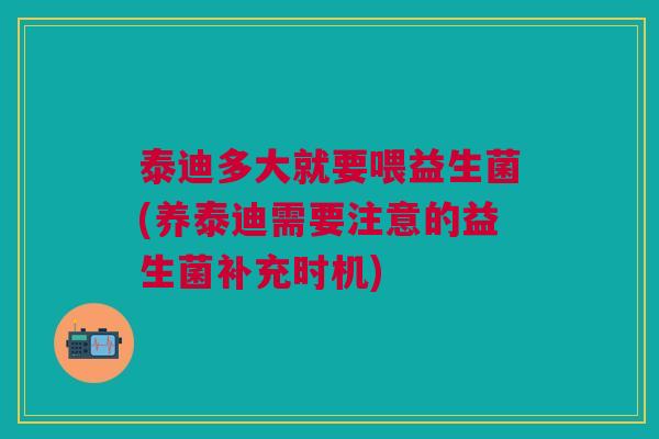 泰迪多大就要喂益生菌(养泰迪需要注意的益生菌补充时机) 泰迪多大就要喂益生菌(养泰迪需要注意的益生菌补充时机)
