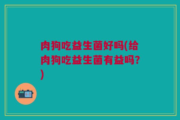 肉狗吃益生菌好吗(给肉狗吃益生菌有益吗?)