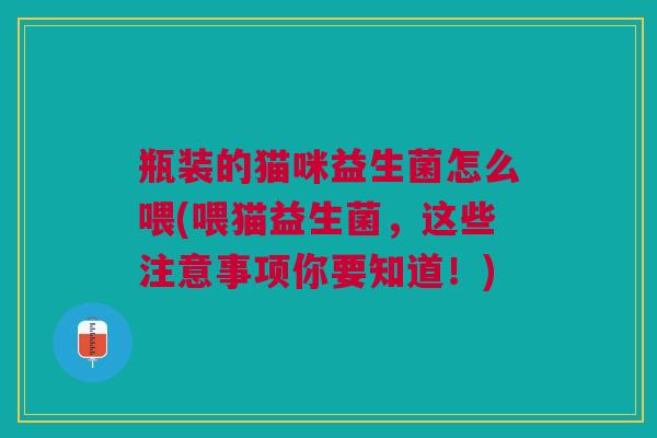 瓶装的猫咪益生菌怎么喂(喂猫益生菌,这些注意事项你要知道!)