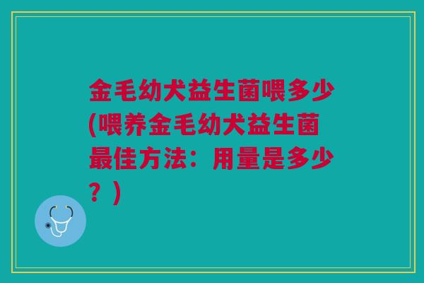 金毛幼犬益生菌喂多少(喂养金毛幼犬益生菌佳方法:用量是多少?) 金毛幼犬益生菌喂多少(喂养金毛幼犬益生菌佳方法:用量是多少?)