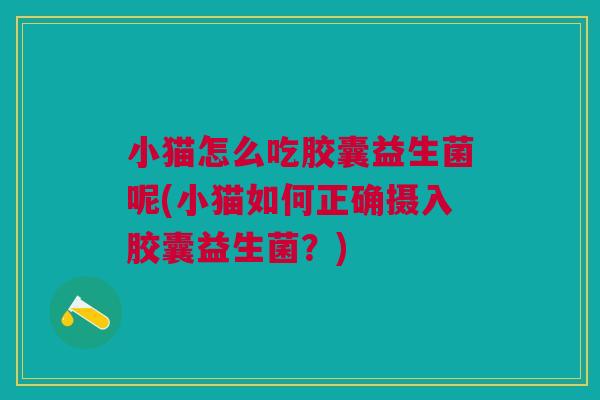 小猫怎么吃胶囊益生菌呢(小猫如何正确摄入胶囊益生菌?) 小猫怎么吃胶囊益生菌呢(小猫如何正确摄入胶囊益生菌?)
