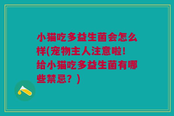 小猫吃多益生菌会怎么样(宠物主人注意啦!给小猫吃多益生菌有哪些禁忌?)