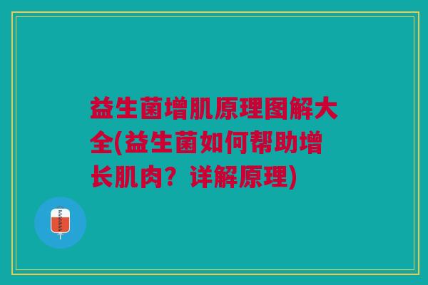 益生菌增肌原理图解大全(益生菌如何帮助增长肌肉?详解原理) 益生菌增肌原理图解大全(益生菌如何帮助增长肌肉?详解原理)