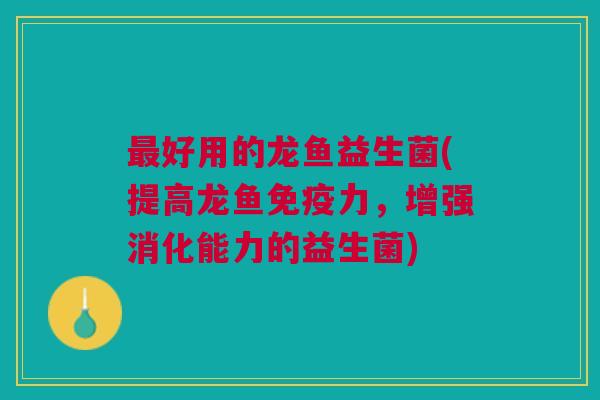 最好用的龙鱼益生菌(提高龙鱼免疫力,增强消化能力的益生菌)