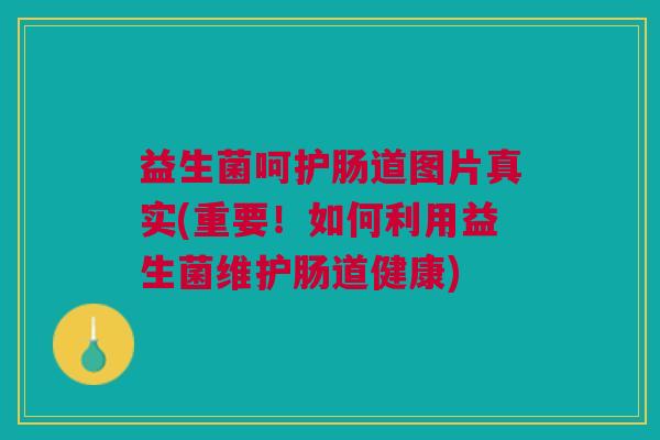 益生菌呵护肠道图片真实(重要!如何利用益生菌维护肠道健康)