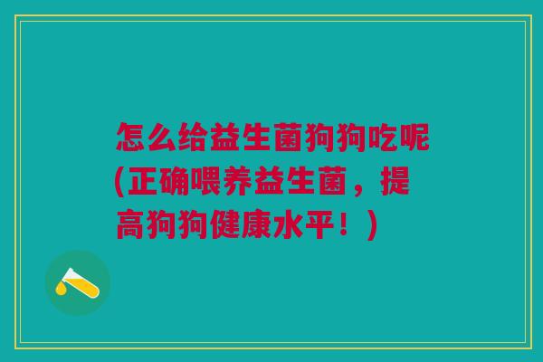 怎么给益生菌狗狗吃呢(正确喂养益生菌,提高狗狗健康水平!)
