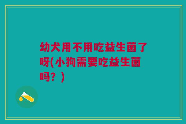 幼犬用不用吃益生菌了呀(小狗需要吃益生菌吗?)