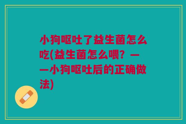 小狗了益生菌怎么吃(益生菌怎么喂?——小狗后的正确做法) 小狗了益生菌怎么吃(益生菌怎么喂?——小狗后的正确做法)