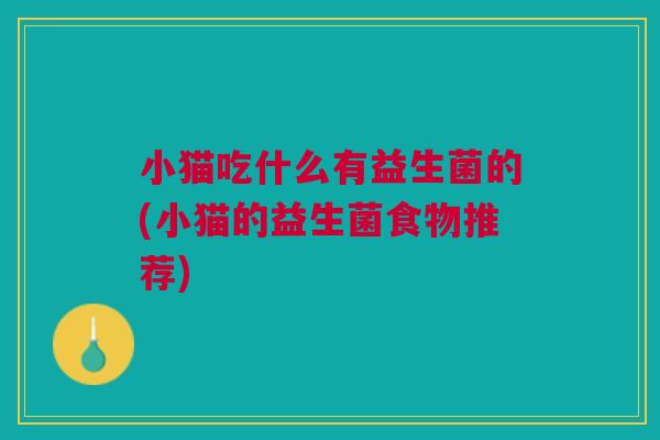 小猫吃什么有益生菌的(小猫的益生菌食物推荐)