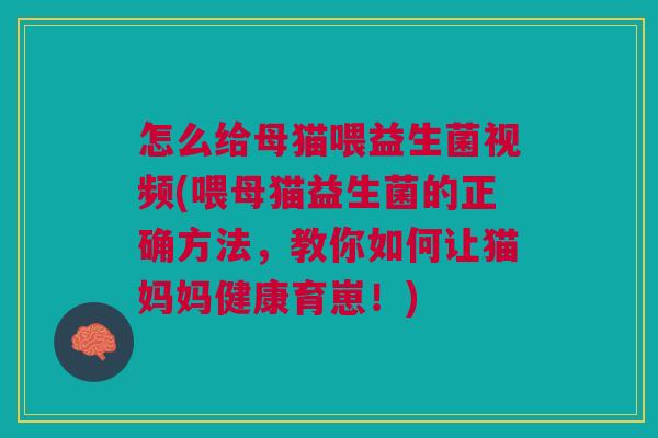 怎么给母猫喂益生菌视频(喂母猫益生菌的正确方法,教你如何让猫妈妈健康育崽!) 怎么给母猫喂益生菌视频(喂母猫益生菌的正确方法,教你如何让猫妈妈健康育崽!)