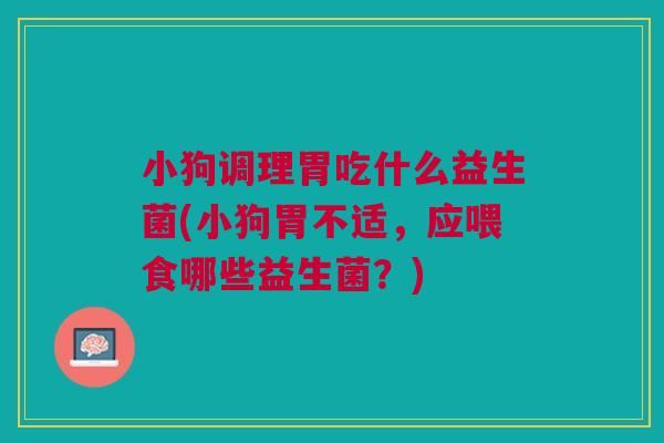 小狗调理胃吃什么益生菌(小狗胃不适,应喂食哪些益生菌?)