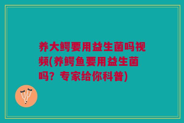养大鳄要用益生菌吗视频(养鳄鱼要用益生菌吗?专家给你科普) 养大鳄要用益生菌吗视频(养鳄鱼要用益生菌吗?专家给你科普)