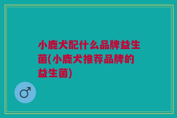 小鹿犬配什么品牌益生菌(小鹿犬推荐品牌的益生菌)