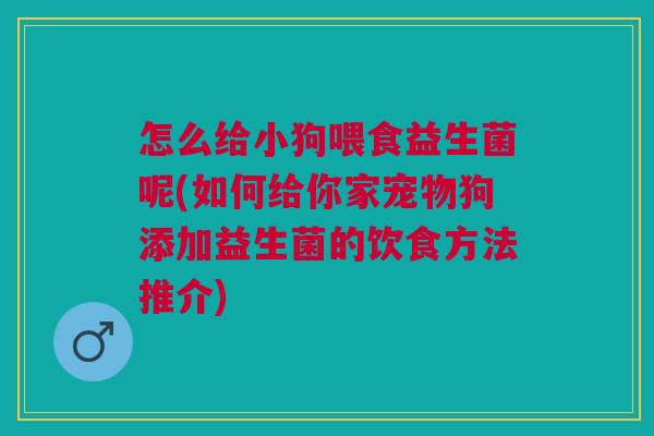怎么给小狗喂食益生菌呢(如何给你家宠物狗添加益生菌的饮食方法推介) 怎么给小狗喂食益生菌呢(如何给你家宠物狗添加益生菌的饮食方法推介)