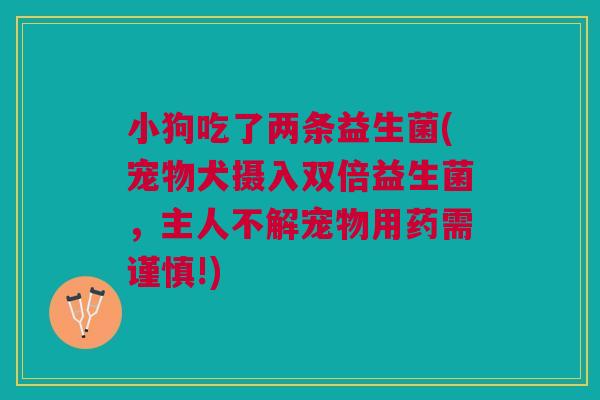 小狗吃了两条益生菌(宠物犬摄入双倍益生菌,主人不解宠物用药需谨慎!) 小狗吃了两条益生菌(宠物犬摄入双倍益生菌,主人不解宠物用药需谨慎!)