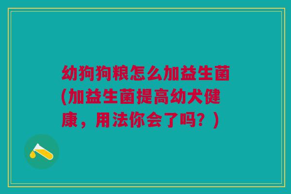 幼狗狗粮怎么加益生菌(加益生菌提高幼犬健康,用法你会了吗?)