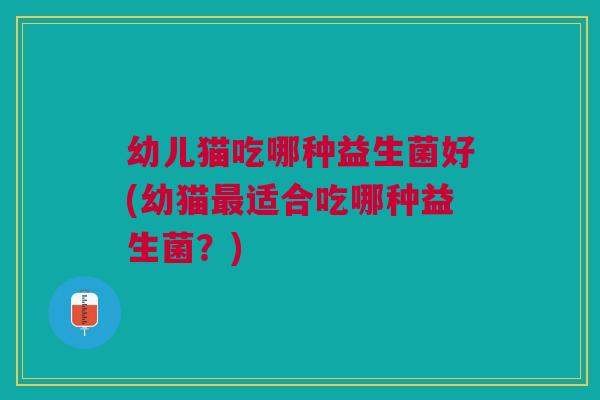幼儿猫吃哪种益生菌好(幼猫适合吃哪种益生菌？)