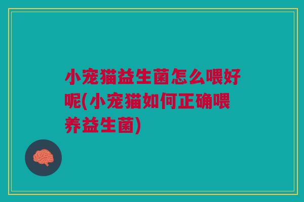 小宠猫益生菌怎么喂好呢(小宠猫如何正确喂养益生菌)
