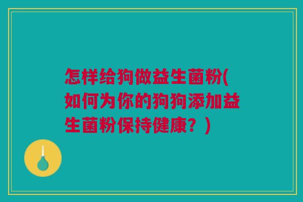 怎样给狗做益生菌粉(如何为你的狗狗添加益生菌粉保持健康?)