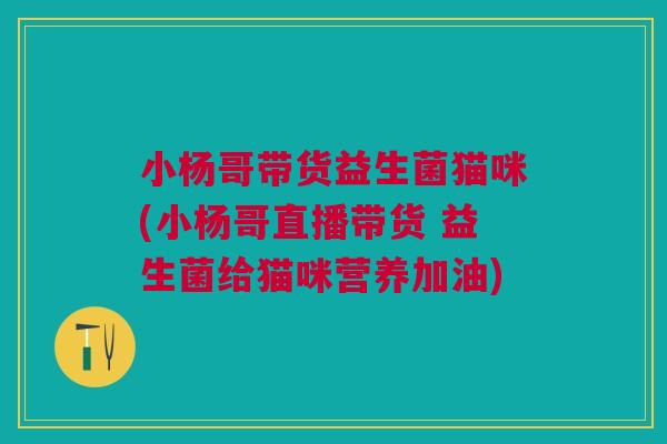 小杨哥带货益生菌猫咪(小杨哥直播带货 益生菌给猫咪营养加油)