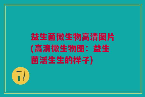益生菌微生物高清图片(高清微生物图:益生菌活生生的样子)
