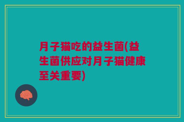 月子猫吃的益生菌(益生菌供应对月子猫健康至关重要) 月子猫吃的益生菌(益生菌供应对月子猫健康至关重要)