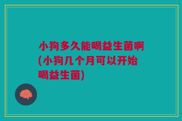 小狗多久能喝益生菌啊(小狗几个月可以开始喝益生菌) 小狗多久能喝益生菌啊(小狗几个月可以开始喝益生菌)