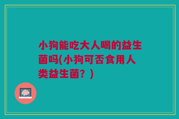 小狗能吃大人喝的益生菌吗(小狗可否食用人类益生菌?) 小狗能吃大人喝的益生菌吗(小狗可否食用人类益生菌?)