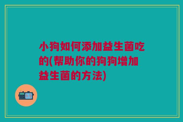 小狗如何添加益生菌吃的(帮助你的狗狗增加益生菌的方法)