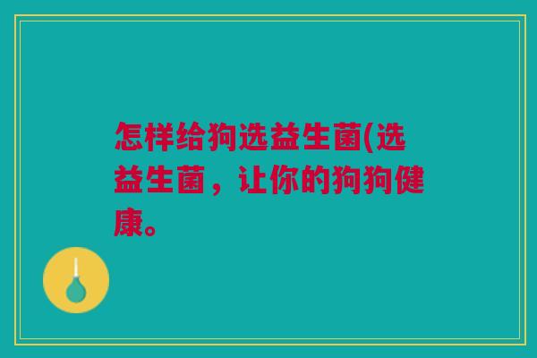 怎样给狗选益生菌(选益生菌,让你的狗狗健康。