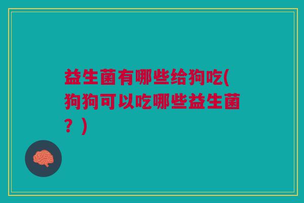 益生菌有哪些给狗吃(狗狗可以吃哪些益生菌?)