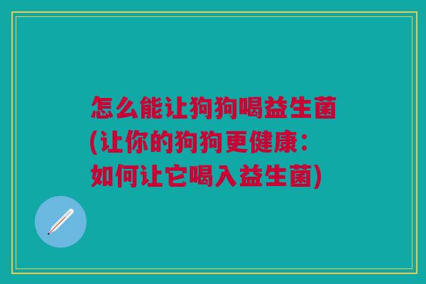 怎么能让狗狗喝益生菌(让你的狗狗更健康:如何让它喝入益生菌)