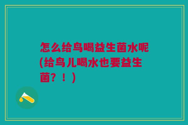 怎么给鸟喝益生菌水呢(给鸟儿喝水也要益生菌?!)