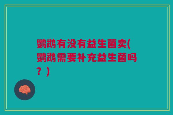 鹦鹉有没有益生菌卖(鹦鹉需要补充益生菌吗?)
